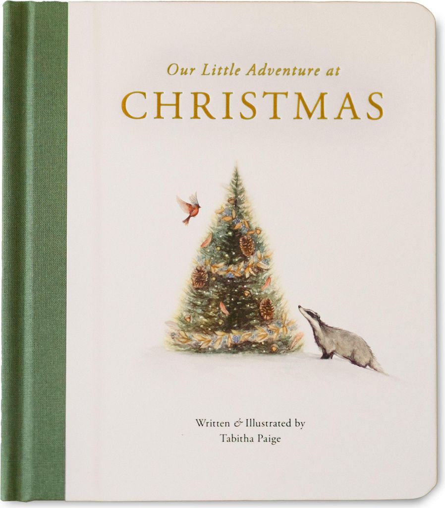 Our Little Adventure at Christmas