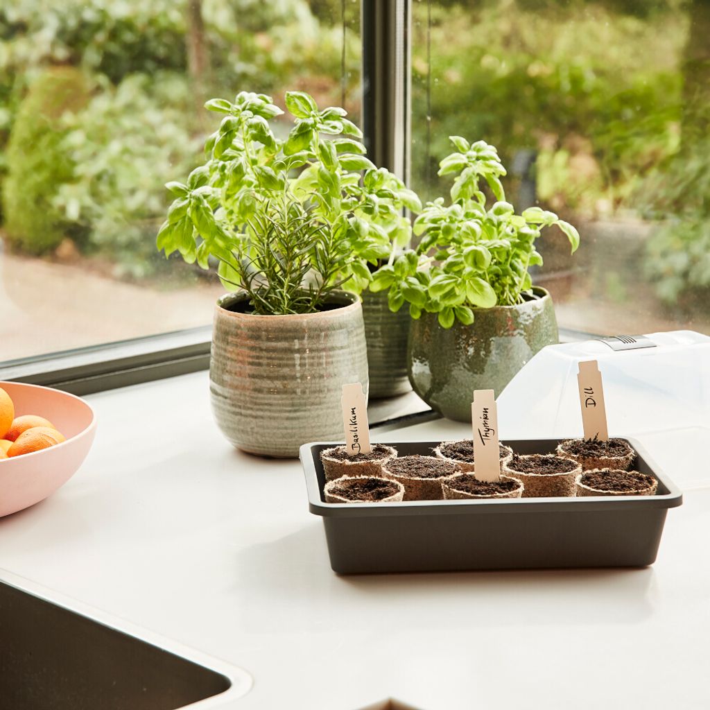 SIENA GARDEN Zimmergewächshaus Midi-Grow Produktbild 2