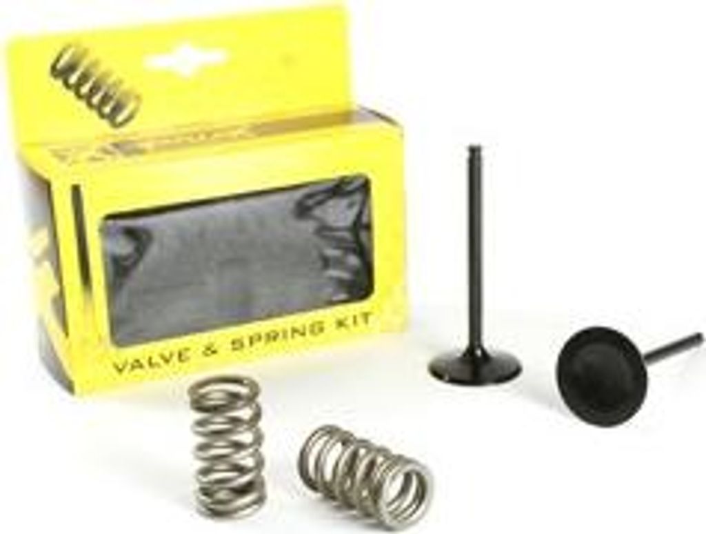 Prox Einlass Ventil/SPRING KIT 28.SIS6351-2