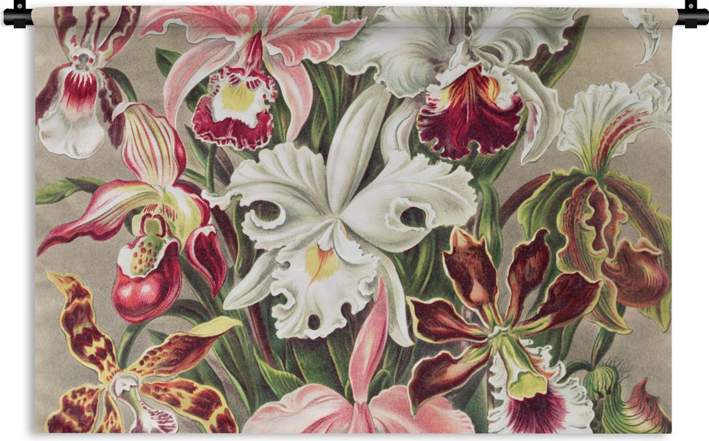 MuchoWow Wandteppich Wandbehang Blumen - Ernst Haeckel - Jahrgang - Orchidee 120x80 cm Tapisserie Dekoration Wandtuch - Wanddekorationen - Wandt...