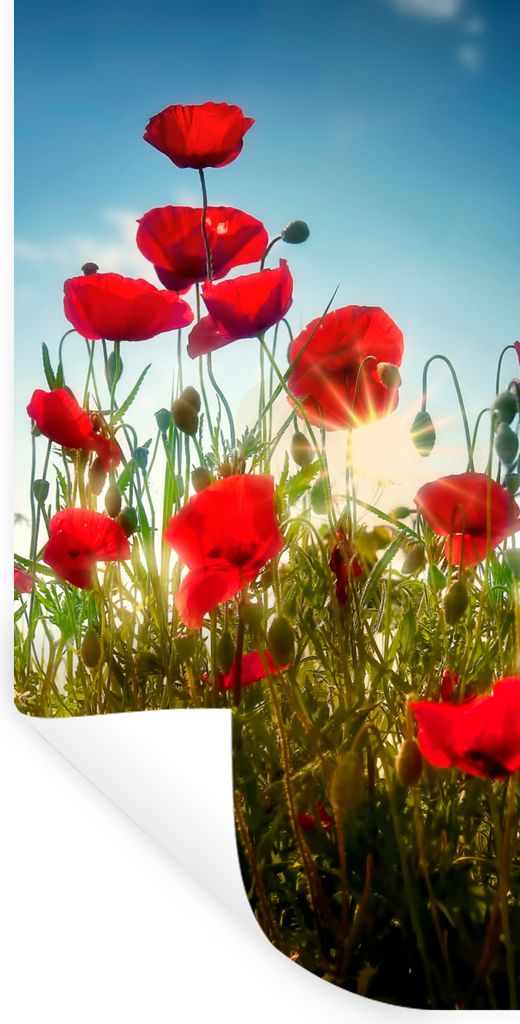 MuchoWow Wandtattoo Wandsticker Wandaufkleber Mohnblumen - Toskana - Sonne - Rot - Blau 20x40 cm Selbstklebend und Repositionierbar - Selbstklebe...
