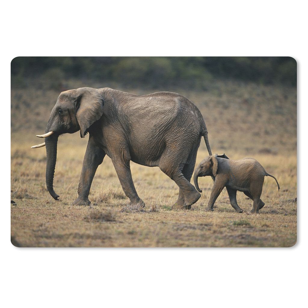 MuchoWow Mauspad Mousepad Elefant - Tiere - Savanne - Natur 27x18 cm - Mousepads - Maus Mat - Pad - Mausunterlage - Büroartikel - Desk Matten