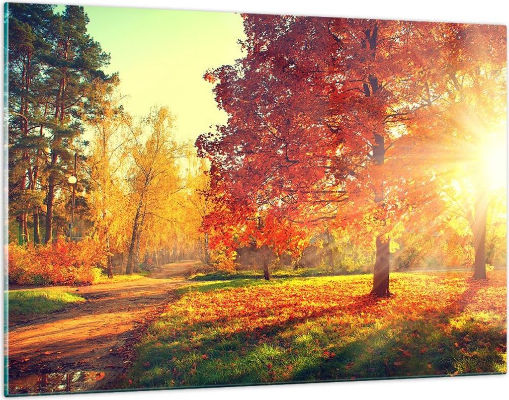 Bilder auf glas - Park Herbst Baum - 120x80cm - Glasbilder - Wandbilder - Kunstdruck - zum Aufhängen bereit - Wanddekoration aus Glas - Glas Bilde...