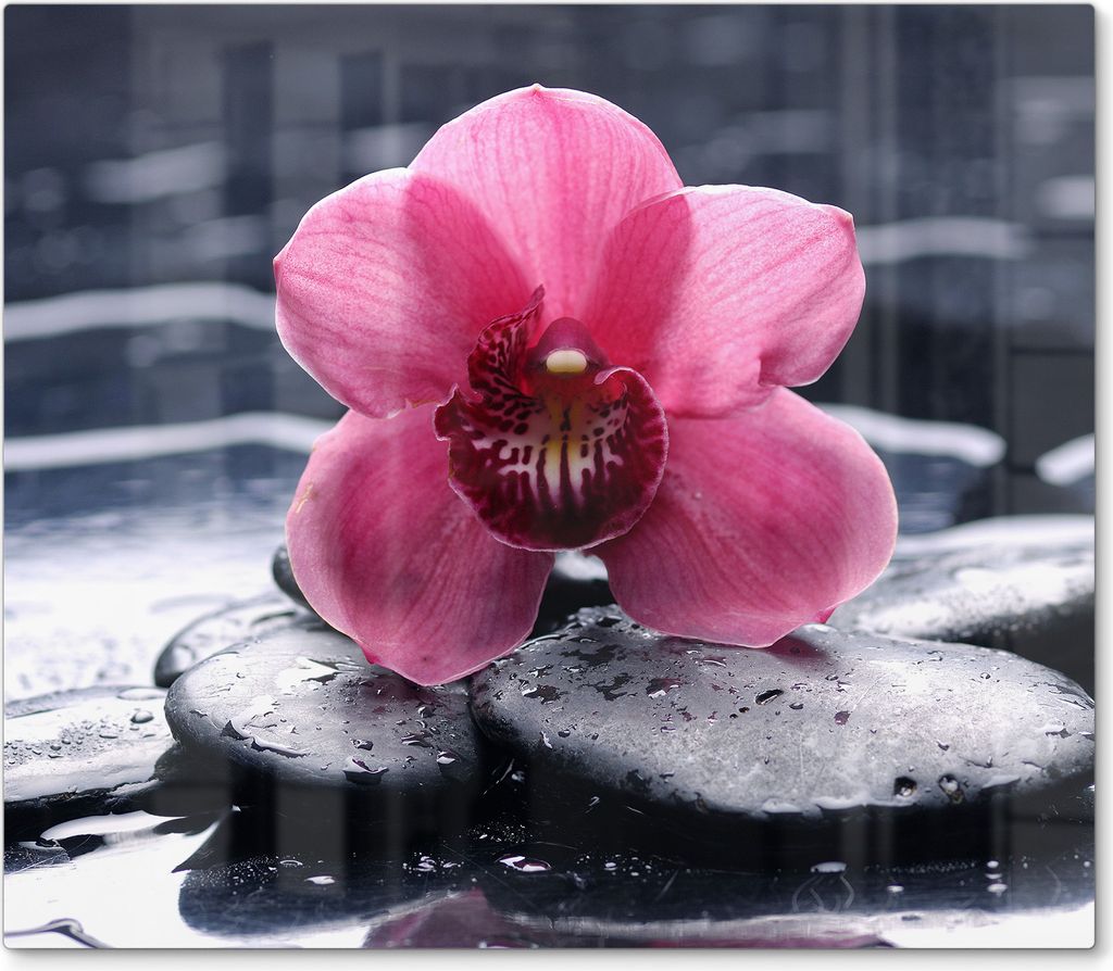 DEQORI Herdabdeckplatte Glas 1-tlg 'Zen-Blütenpracht' Abdeckplatte Küche Glaskeramikkochfeld Herd