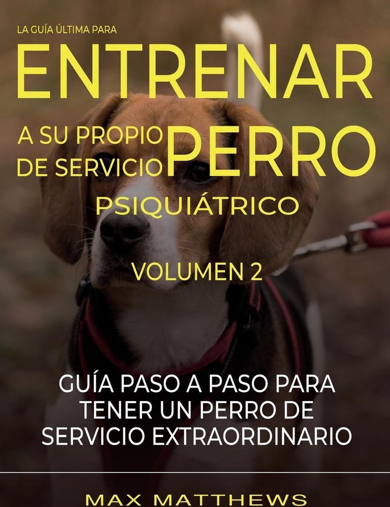 La Guia Ultima Para Entrenar A Su Propio Perro De Servicio Psiquiatrico