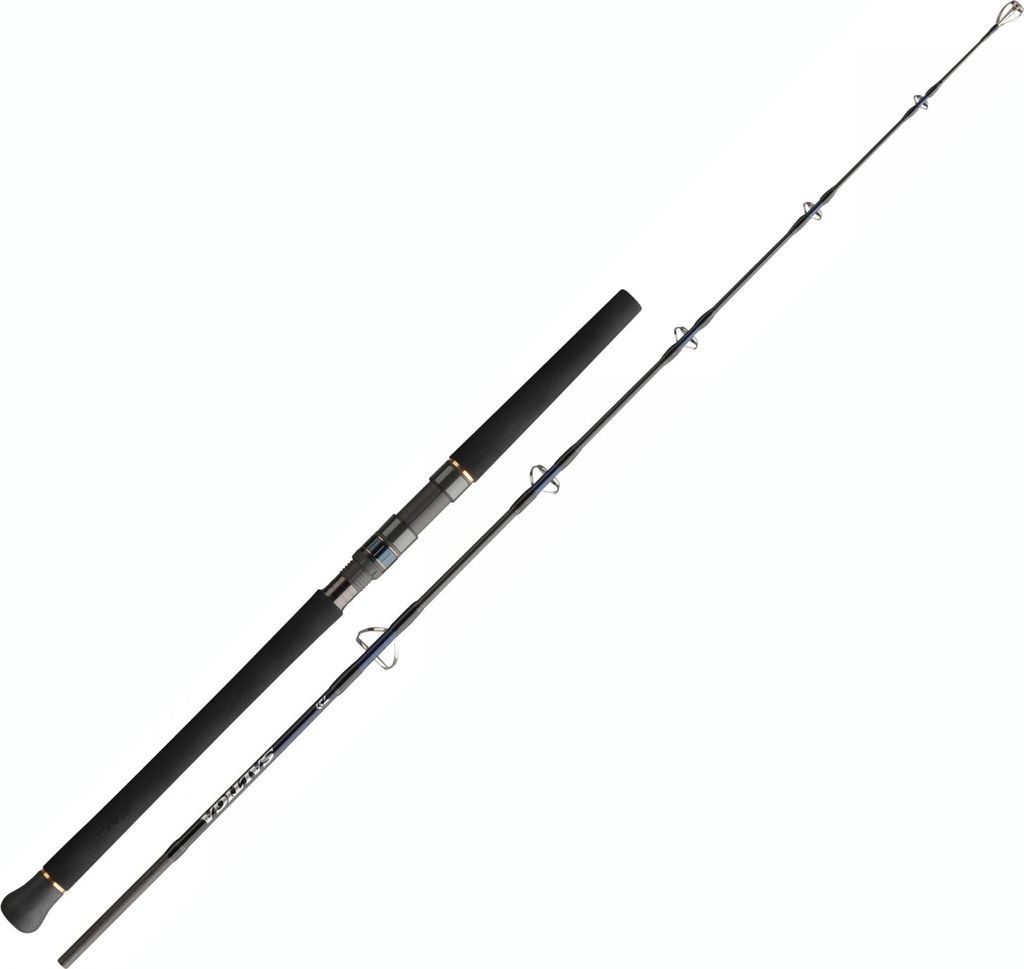 Daiwa Jigging v slanej vode Obrázok produktu 