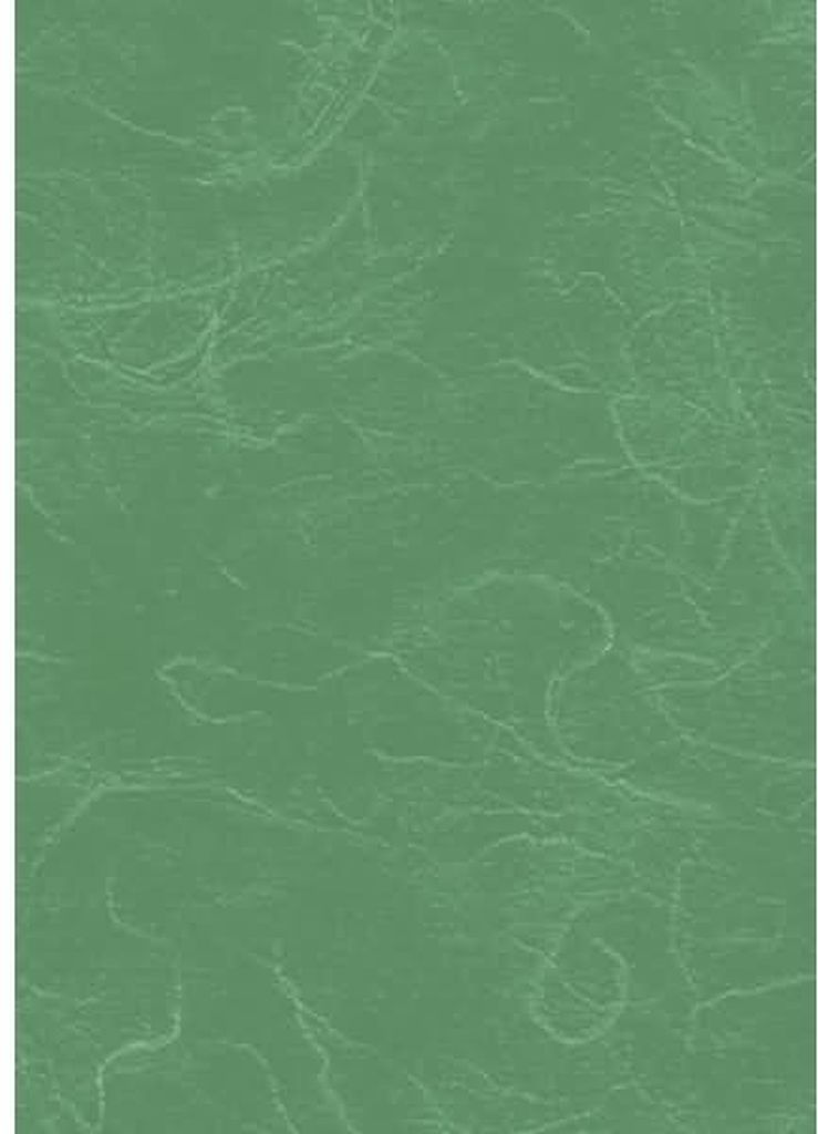 Strohseide 25g/m 50x70cm dunkelgrün Packung mit 25 Stück