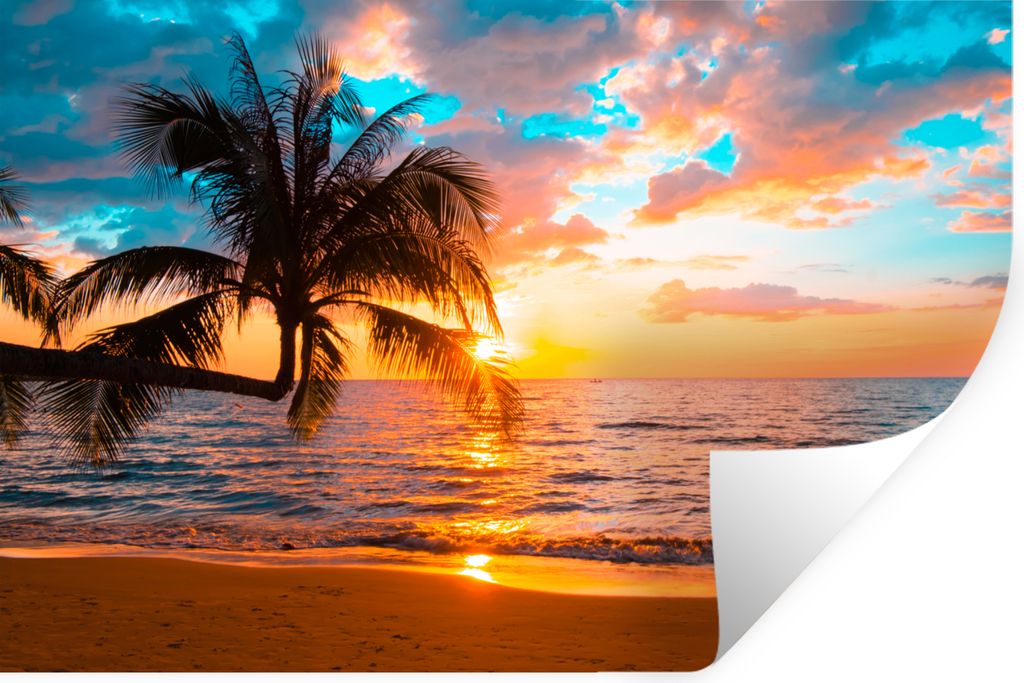 MuchoWow Wandtattoo Wandsticker Wandaufkleber Palme - Sonnenuntergang - Horizont - Strand - Meer - Tropisch 60x40 cm Selbstklebend und Reposition...