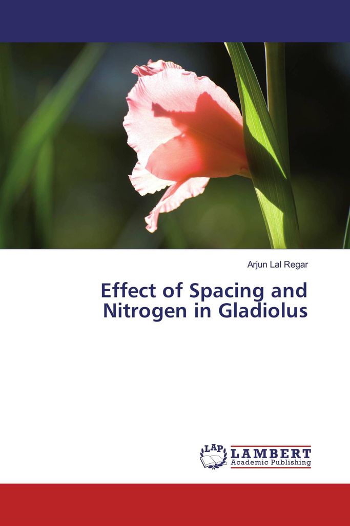 Effect of Spacing and Nitrogen in Gladiolus
