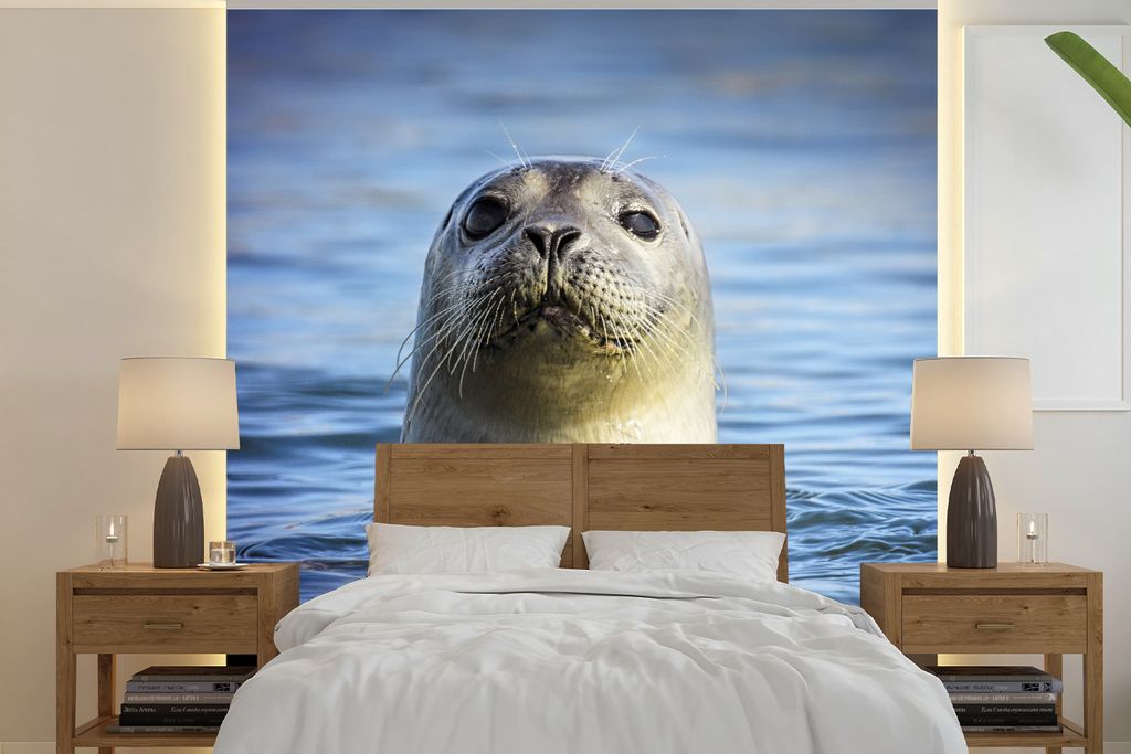 MuchoWow Fototapete für Wohnzimmer oder Schlafzimmer Wandtapete Vinyl Motivtapete Siegel - Porträt - Wasser - 260x260 cm - Papiertapeten