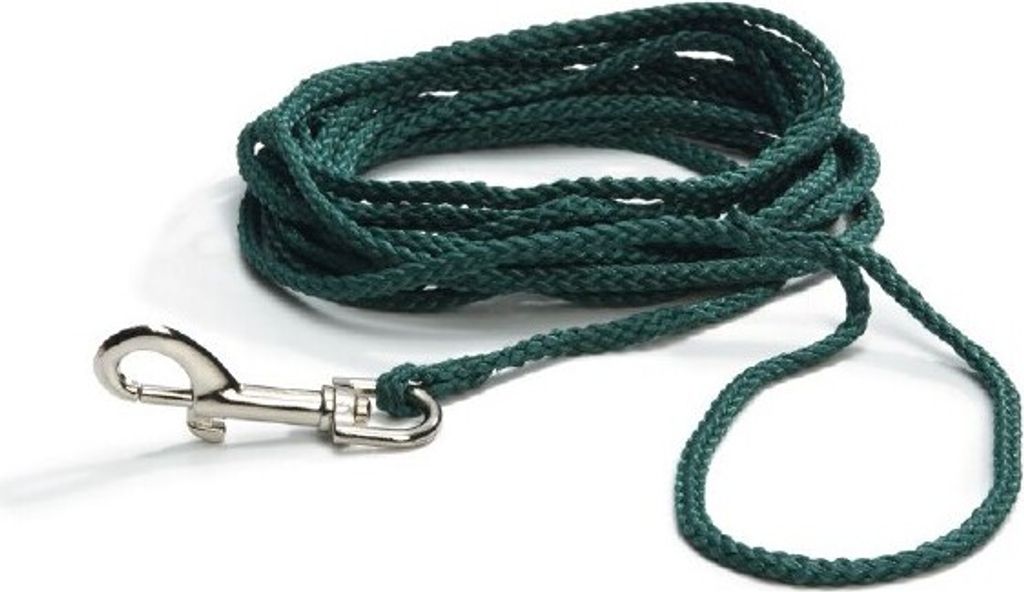 Beeztees Feldleine - Hundeleine - Nylon - grün - 10m