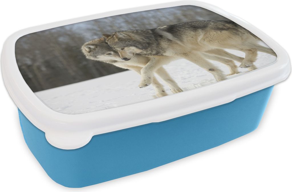 KitchenYeah® Lunchbox Brotzeit Brotdose 17x11 cm Wolf - Produktbild 