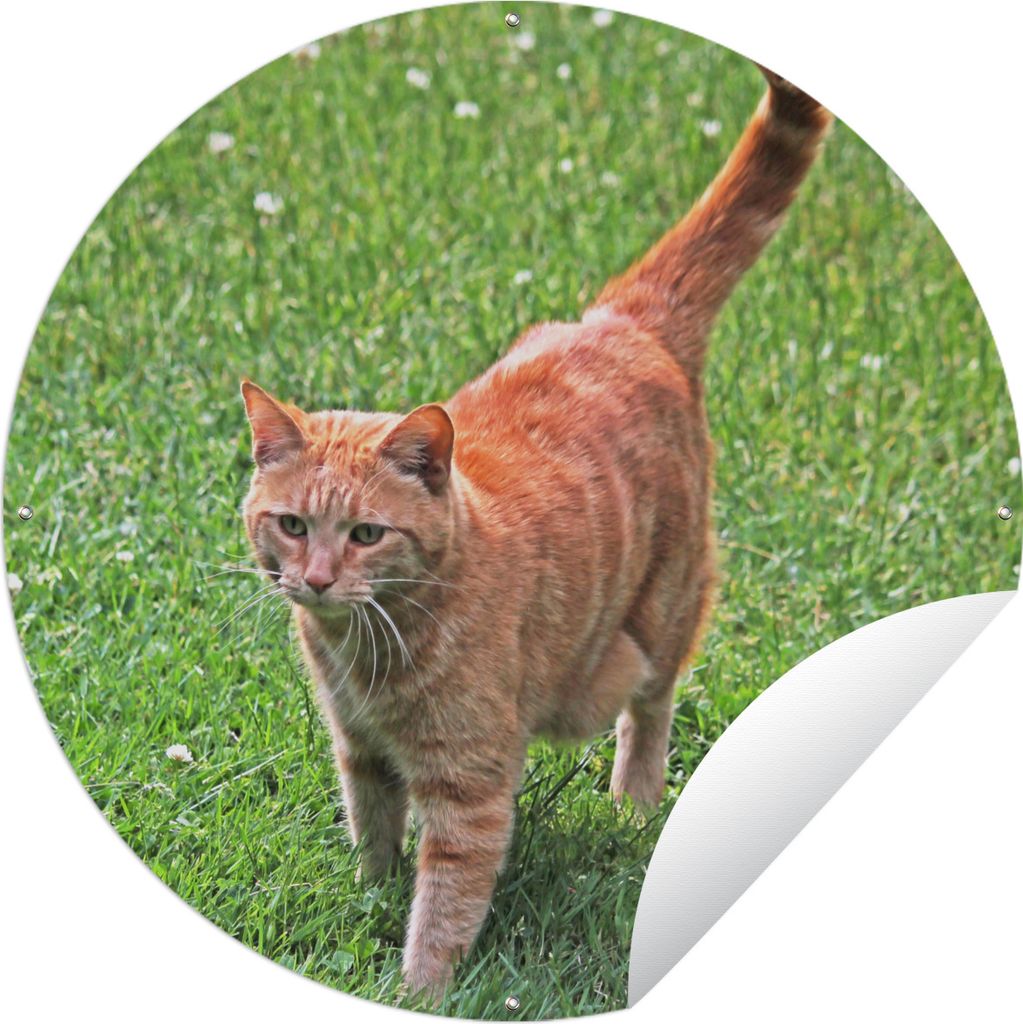 MuchoWow Gartenposter Outdoor-Poster Rund Katze - Rot - Katze - Mädchen - Kinder - Jungen - Kind Ø 60 cm Gartendeko Rundes Poster draußen