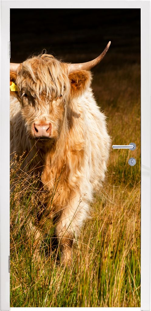 MuchoWow Türtapete Selbstklebende Türfolie Schottische Highlander - Licht - Gras - Tiere 85x205 cm Türposter Türaufkleber Klebefolie Türkleb...
