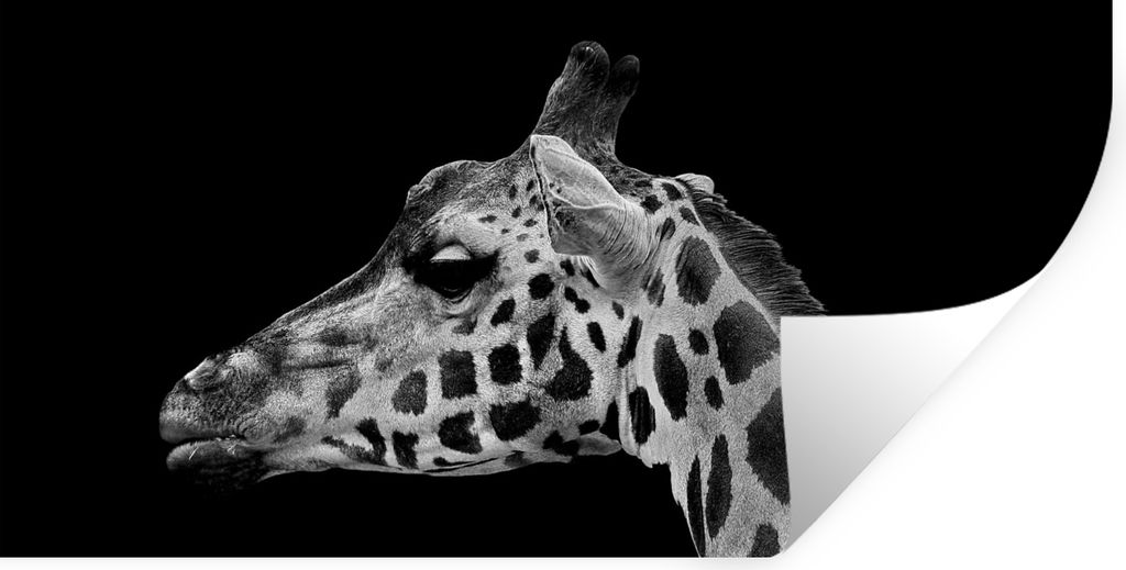 MuchoWow Wandtattoo Wandsticker Wandaufkleber Tiere - Giraffe - Schwarz - Weiß 120x60 cm Selbstklebend und Repositionierbar - Sticker - Dekorfolie