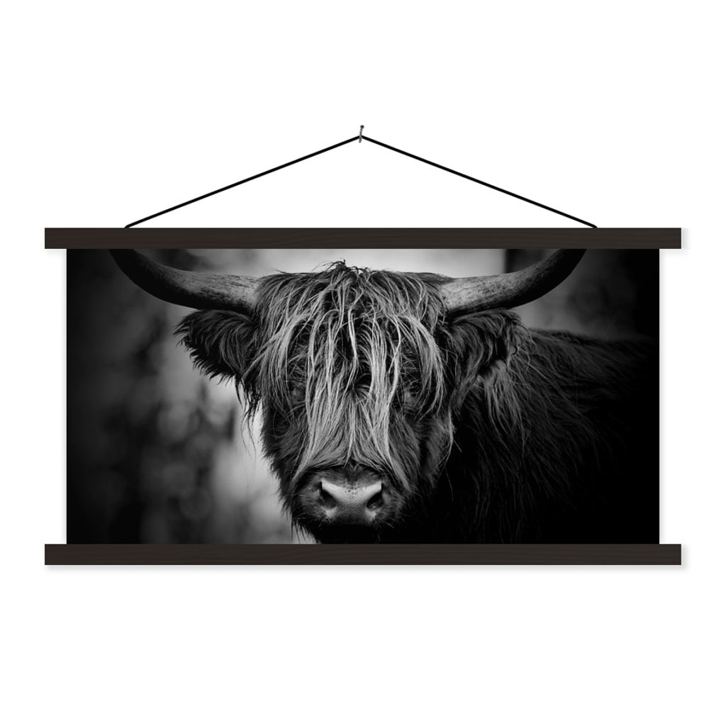 MuchoWow Textilposter Schottischer Hochländer - Licht - Porträt - Natur 60x30 cm mit schwarzem Rahmen - Textilien