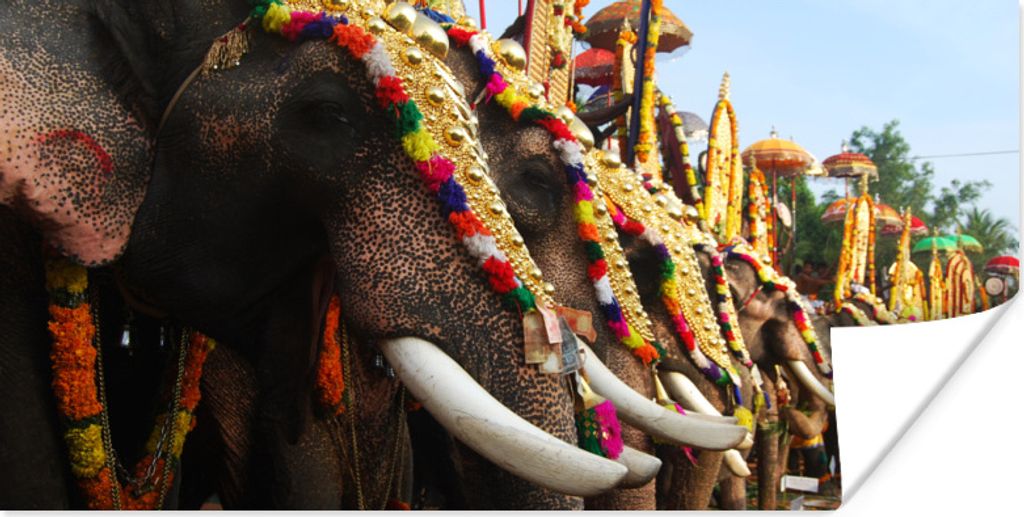 MuchoWow Poster Elefantenparade 160x80 cm - Foto Poster