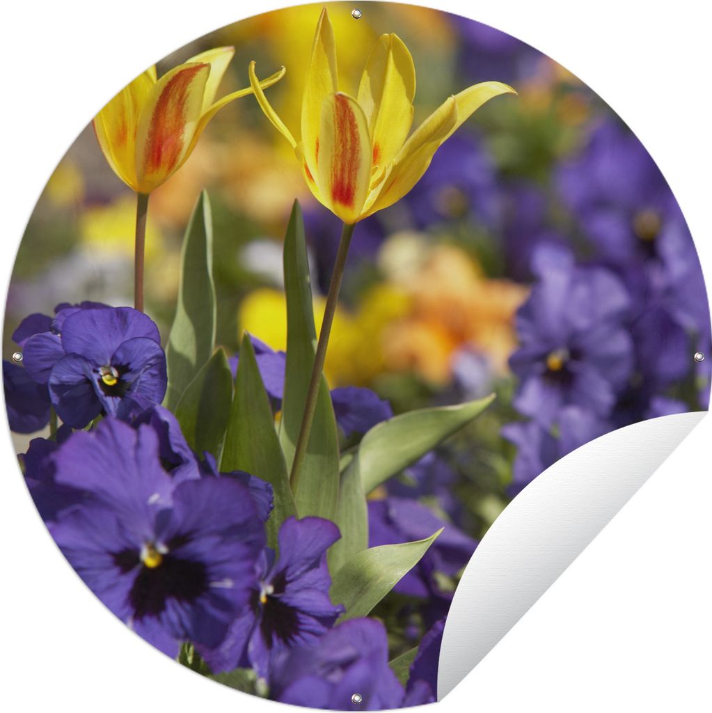 MuchoWow Gartenposter Outdoor-Poster Rund Frühling - Blumen - Farben Ø 120 cm Gartendeko Rundes Poster draußen