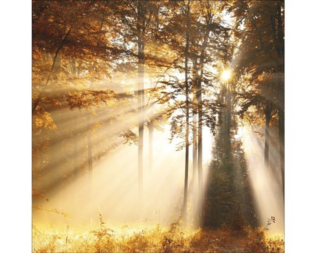 Giclée Leinwandbild Mystic Light III 100x100 cm