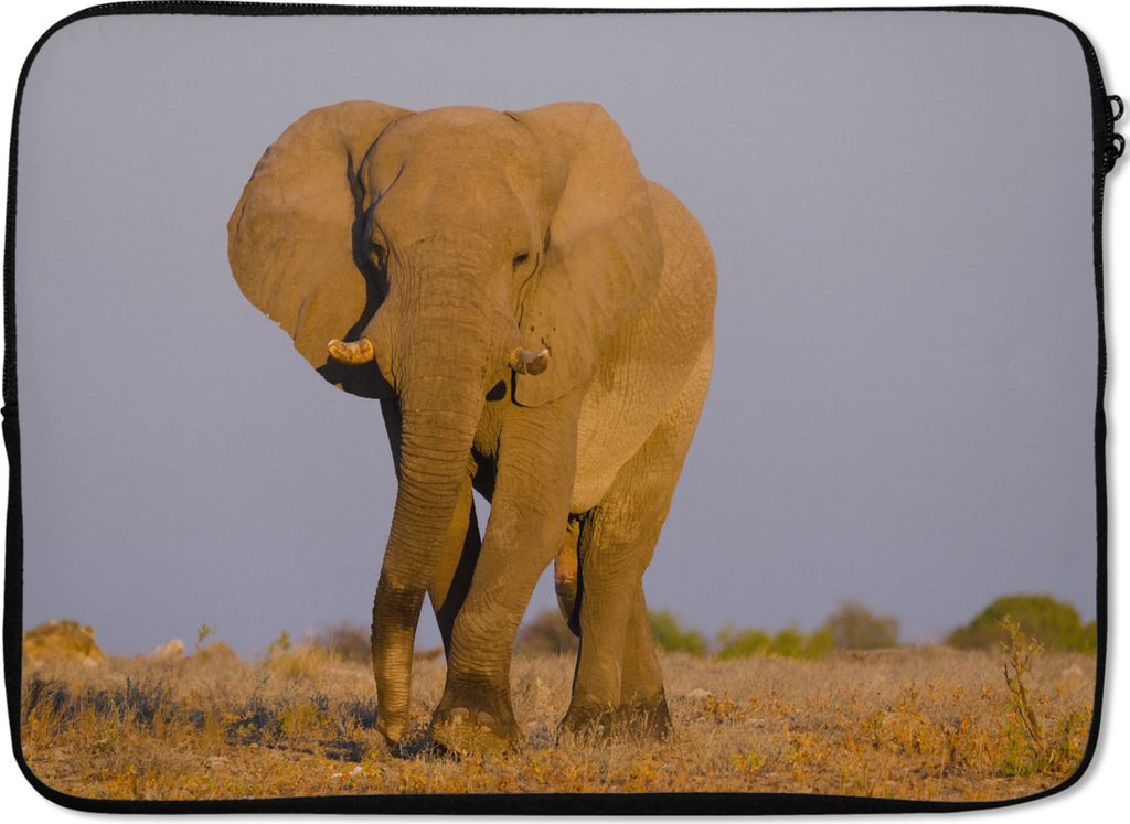 MuchoWow Laptop Hülle 13 Zoll Afrikanischer Elefant im Sand Laptoptasche - Laptophülle - Sleeve - Rundumschutz