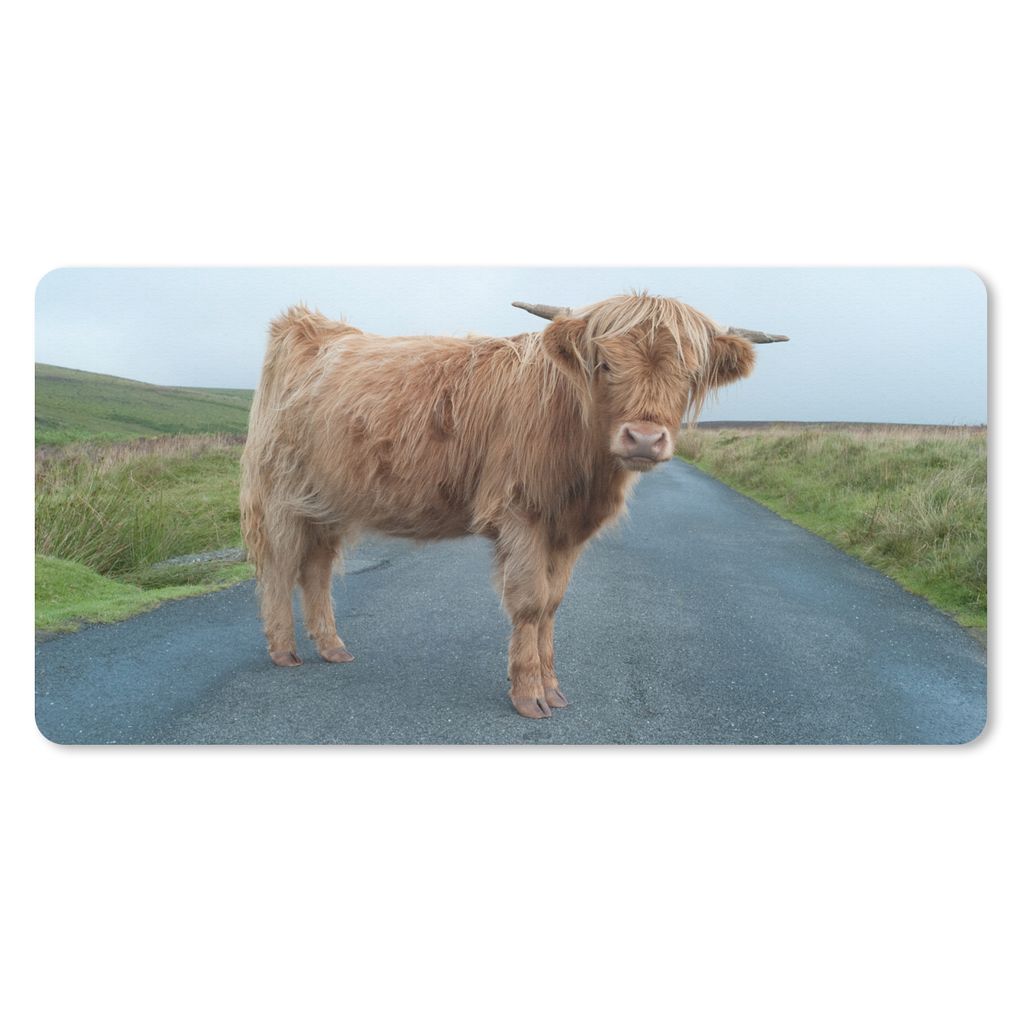 MuchoWow Schreibtischunterlage Scottish Highlander - Straße - Gras 80x40 cm - XXL Mauspad - Gaming Mauspad