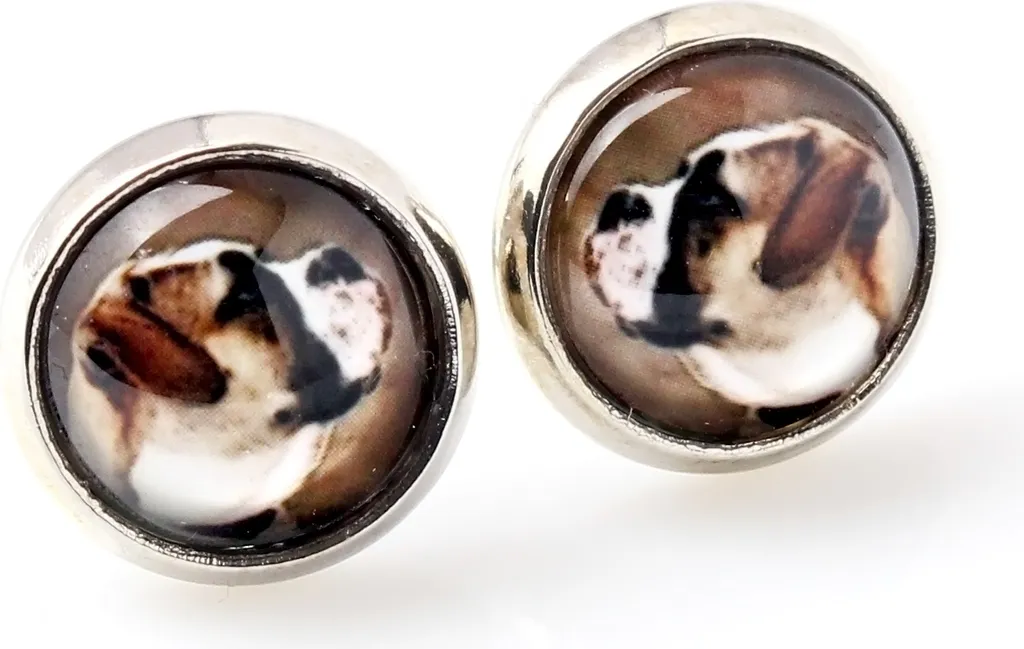 Tema Animale Carino DUOWEI Acrilico Marrone Inglese Bulldog Cane Set Gioielli Collana Orecchini Animali Ciondolo Per Le Donne Regalo Red Bull Gadget