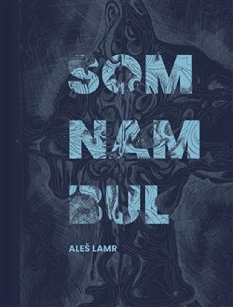 Affiche d'Art Somnambul Aleš Lamr : Idéal pour Bureau ou Salon Moderne