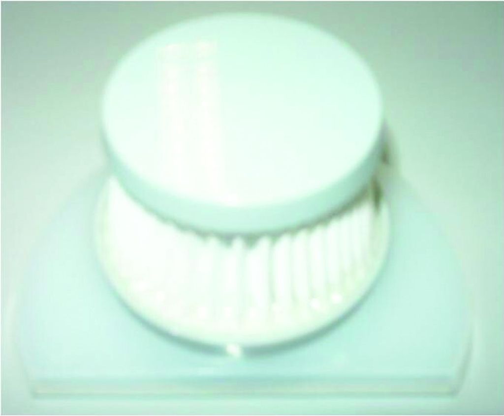 Candy Hoover Staubsaugerfilter, Vormotorfilter, Filter S90 für Akku-Sauger SP48DR6 - Nr.: 35600831