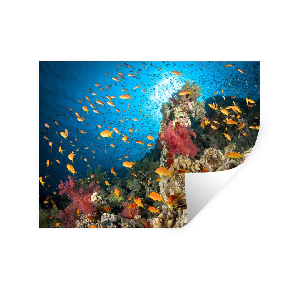 MuchoWow Wandtattoo Wandsticker Wandaufkleber Koralle mit Fischen 120x90 cm Selbstklebend und Repositionierbar - Aufkleber