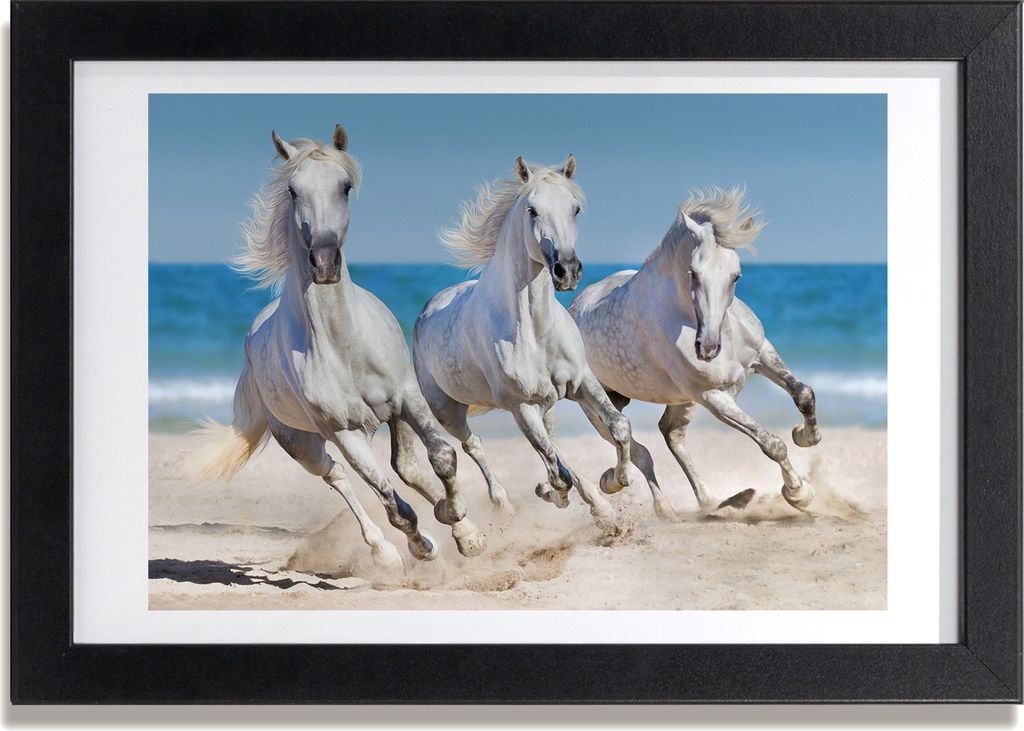 Bild 30x20 MDF-Rahmen, Wandkunst White Horse Beach