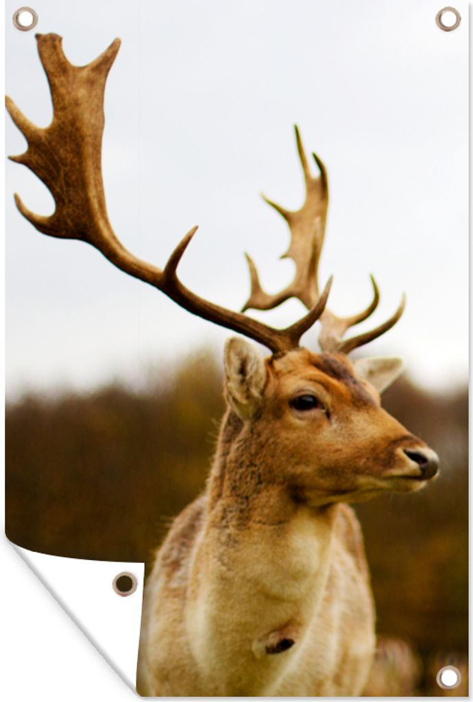 MuchoWow 40x60 cm Outdoor-Poster Gartendeko Sichtschutz Garten Poster für den Garten Damhirsch - Wald - Herde - Tiere - Natur