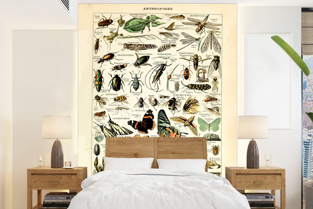 MuchoWow Fototapete für Wohnzimmer oder Schlafzimmer Wandtapete Vinyl Motivtapete Tiere - Adolphe Millot - Vintage - Insekten - Kunst - 190x260 ...