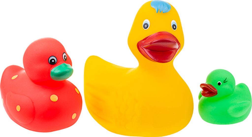 Bunte Badeentenküken / Tullo