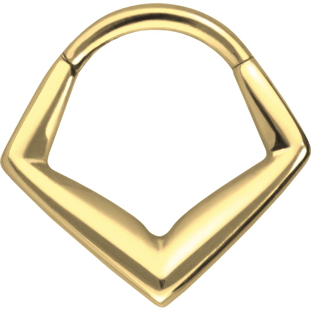 Ohrpiercing, Nasenpiercing, Septum Piercing Titan Segmentring Clicker ECKIG