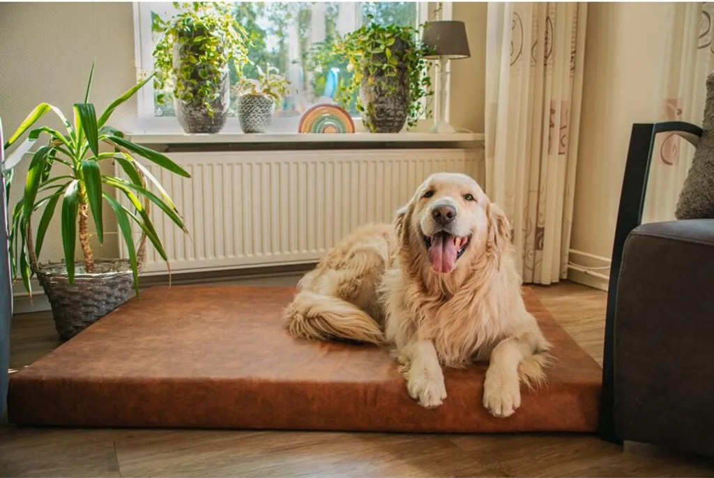 Panier orthopédique Lets Sleep Mellow pour chien de taille moyenne Taupe