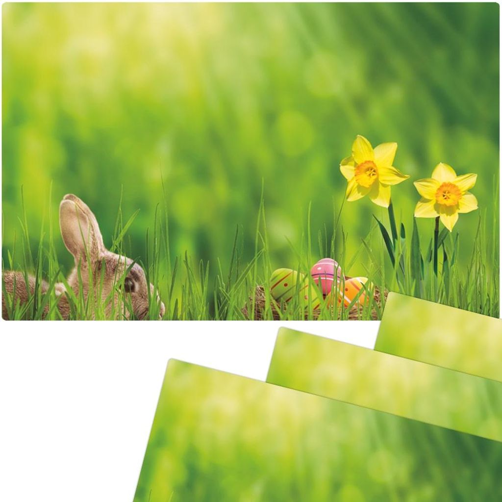 Tovagliette lavabili set di 4 fiori di Pasqua narcisi Immagine del prodotto 