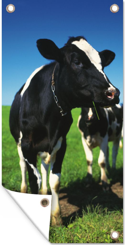 MuchoWow 30x60 cm Outdoor-Poster Gartendeko Sichtschutz Garten Poster für den Garten Kuh - Gras - Tiere