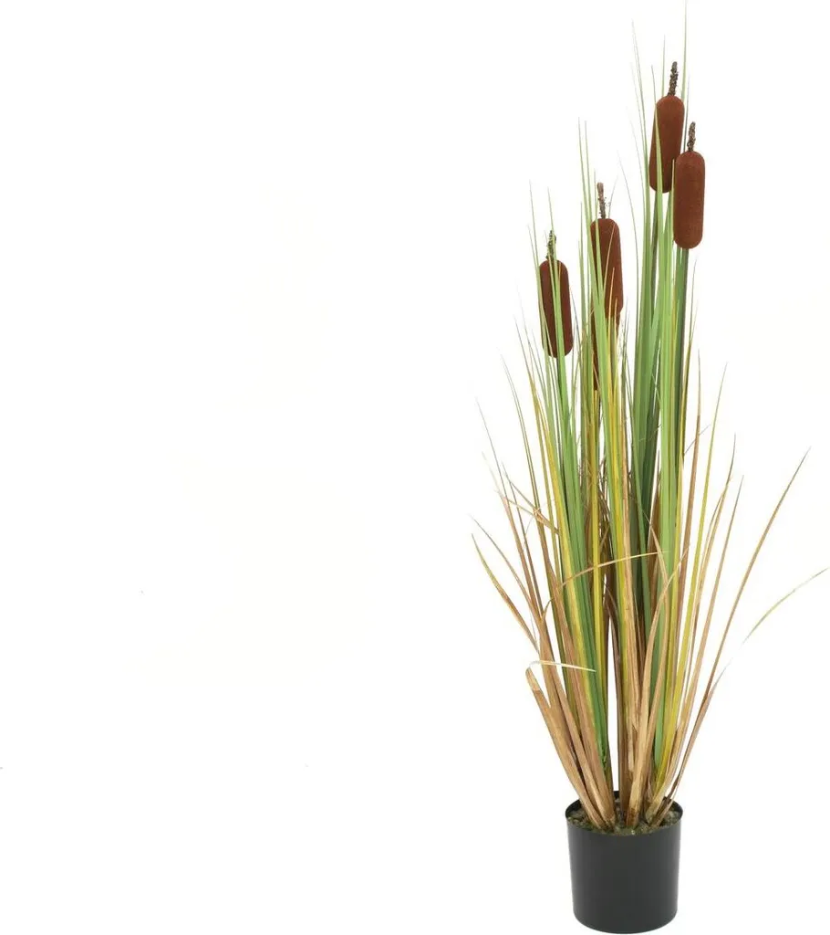 Canne de Provence artificielle 150cm pour bureau et salon moderne
