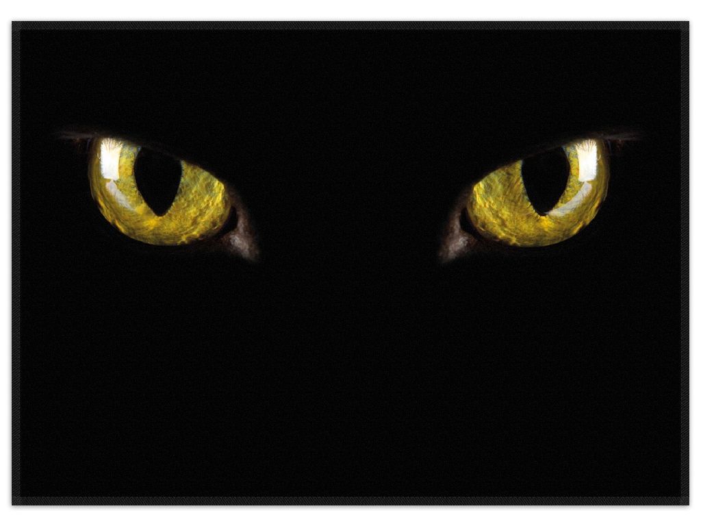 Wallario Premium Teppich, Größe 50 x 70 cm, Gelbe Katzenaugen bei Nacht