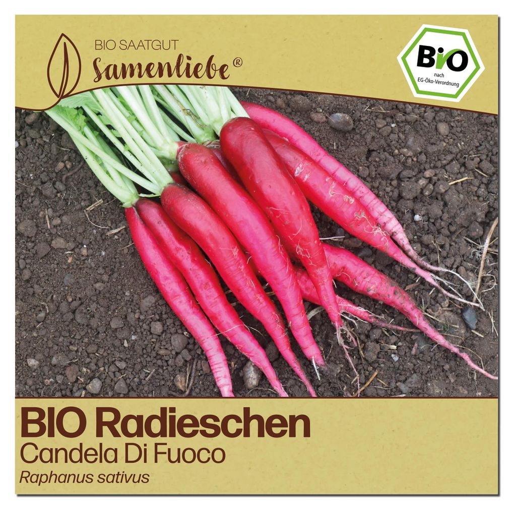 Samenliebe  Radieschen Samen | Candela Di Fuoco - scharf & Produktbild 