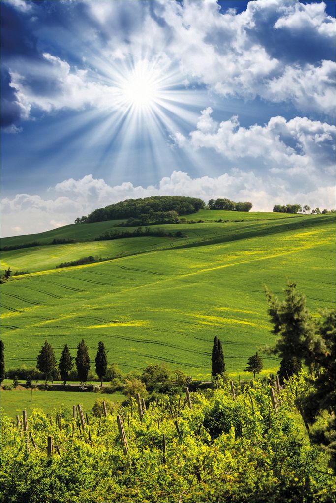 Wallario selbstklebendes Poster - Strahlender Sonnenschein, Größe: 61 x 91,50 cm