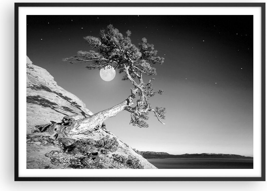 Gerahmtes Poster - Schwarzer Rahmen - Voll der Mond Baum - 100x70 cm - Wand Bild - Wanddeko - Wandbilder - Kunstposter - Wandposter - Bilderrahmen ...