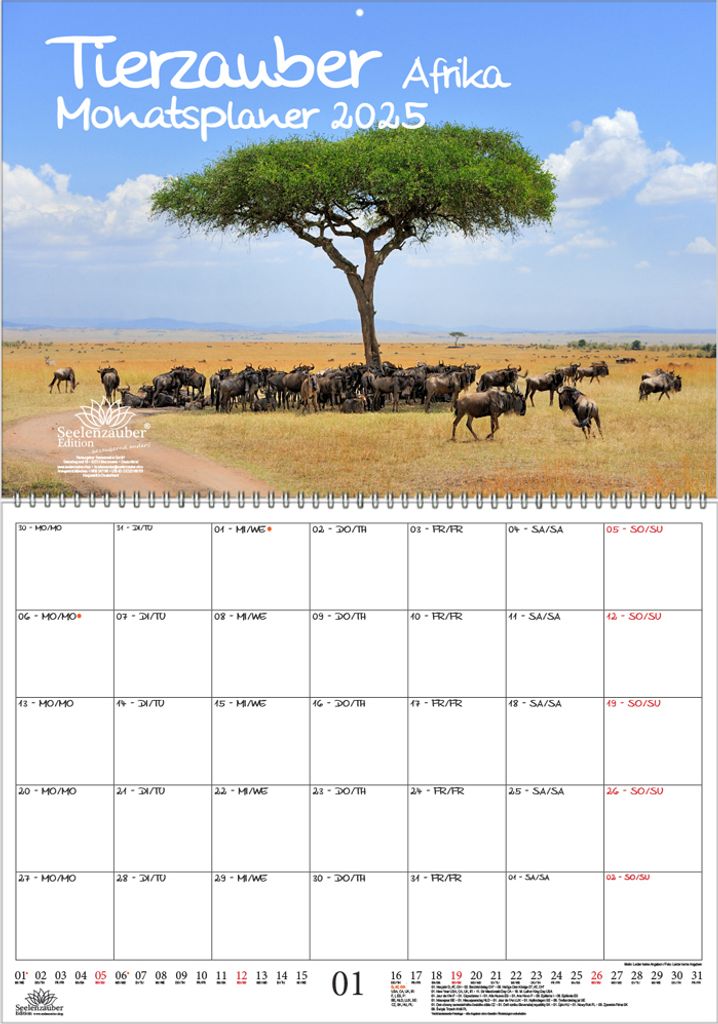 Tierzauber Afrika Planer DIN A2 Kalender für 2025 verschiedene Tiere aus Afrika - Seelenzauber
