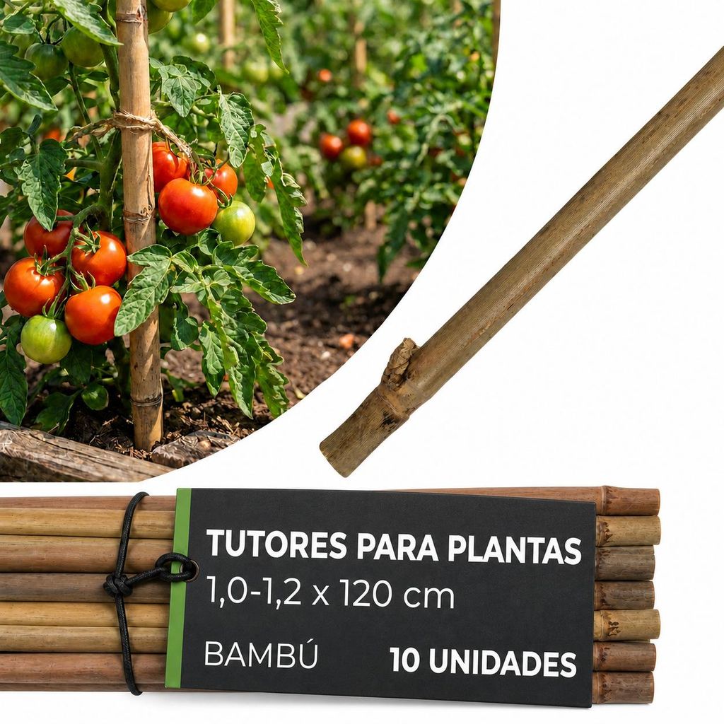 Tutor de bambú Garden KBT, 1200/10-12 mm, paquete de 10 Imagen del producto 