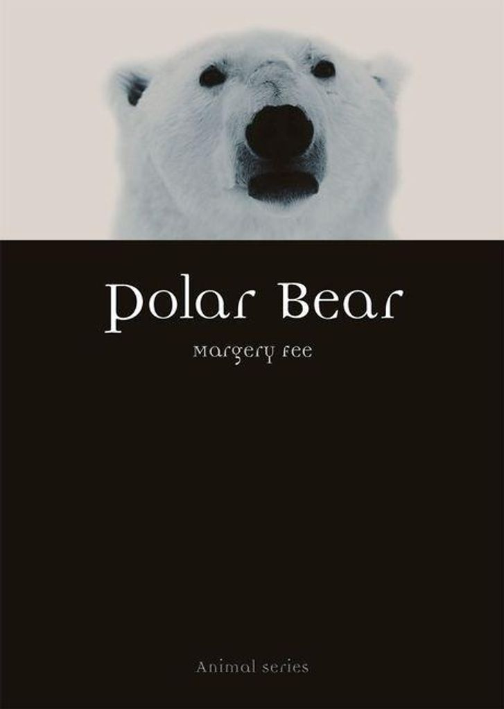 Polar Bear – Lingua: Inglese