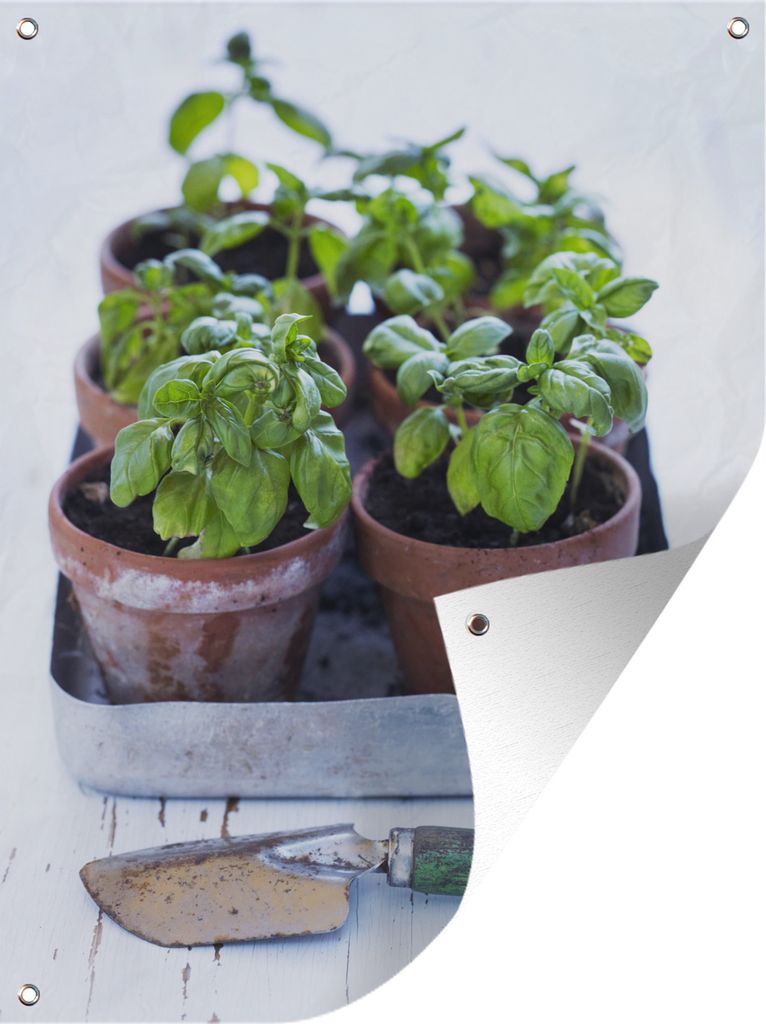 MuchoWow 30x40 cm Outdoor-Poster Gartendeko Sichtschutz Garten Poster für den Garten Grüne Basilikumgläser