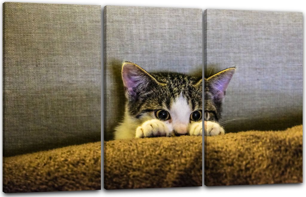 Leinwandbild 3-teilig (120x80cm): Süße Katze cute cat Tier-Bilder Katzenbabies kitten playing spielen pet, echter Holz-Keilrahmen inkl. Aufhänge...