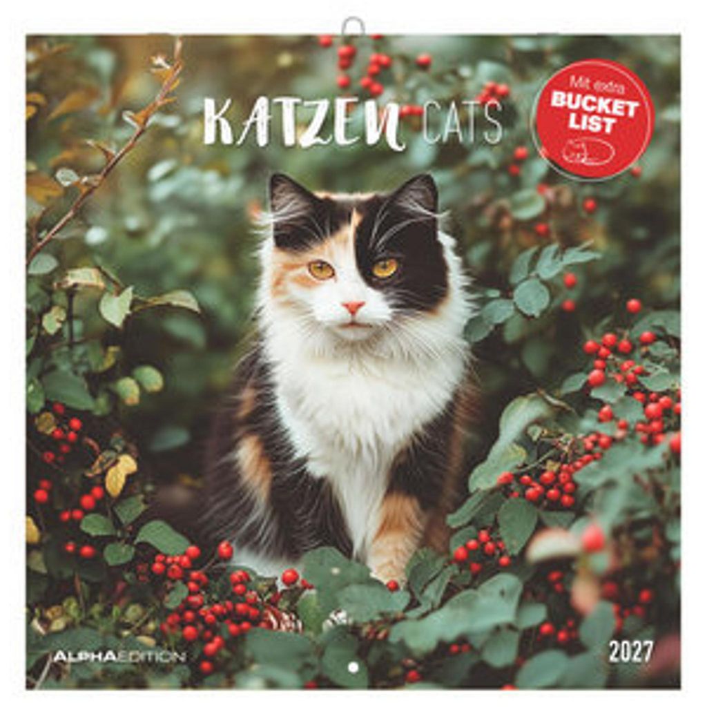 Chats 2027 Image du produit 