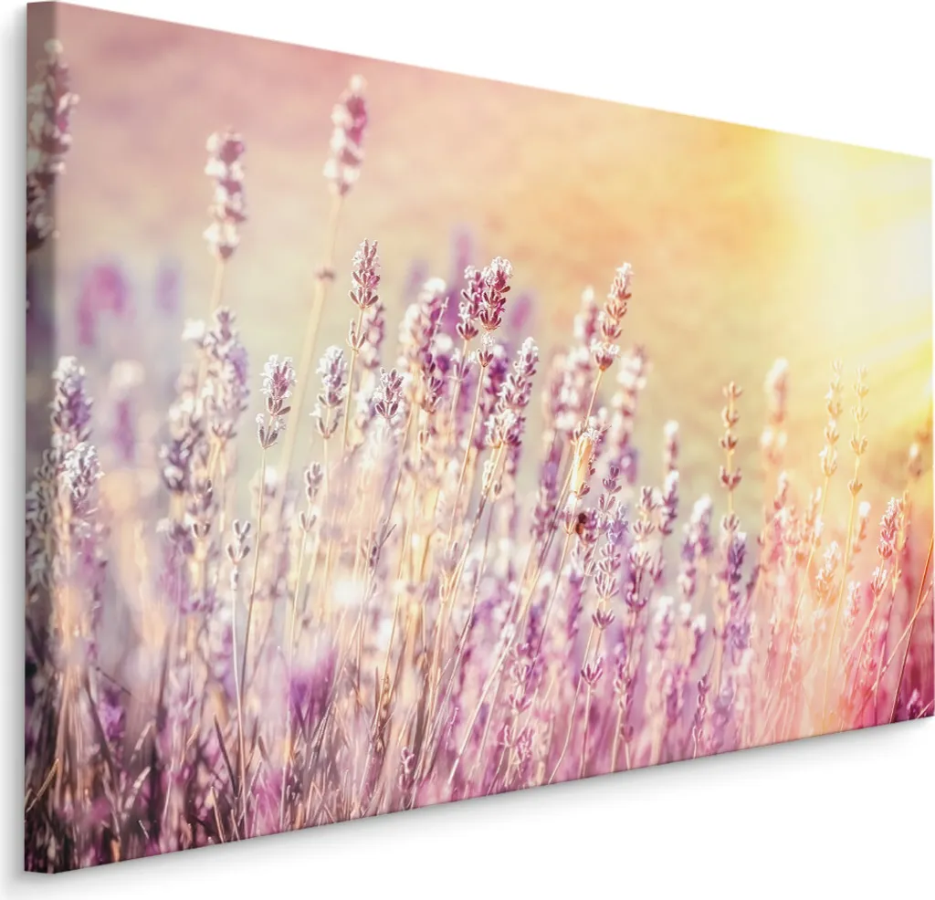 Decorazione Murale XXL Lavanda: Quadro Moderno su Tela Stampa HD