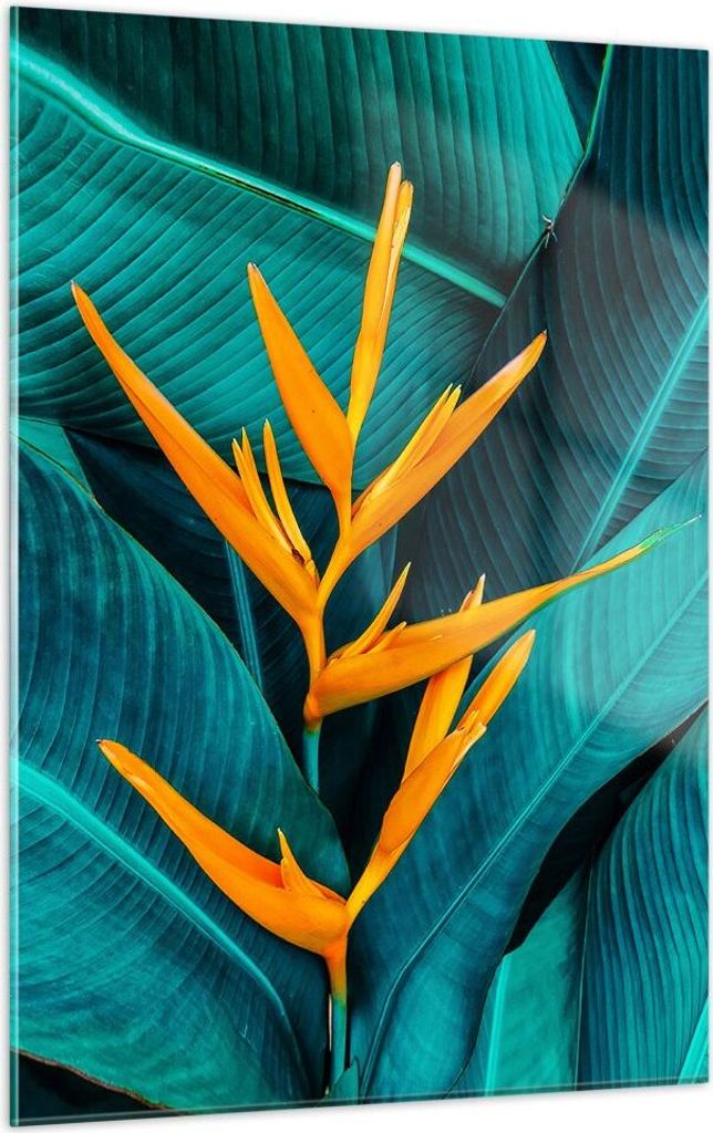 Bilder auf glas - Einteilig - Blumen Tropen Blätter - 50x70cm - Glasbilder - Wandbilder - Bilder - zum Aufhängen bereit - Wanddekoration aus Glas...